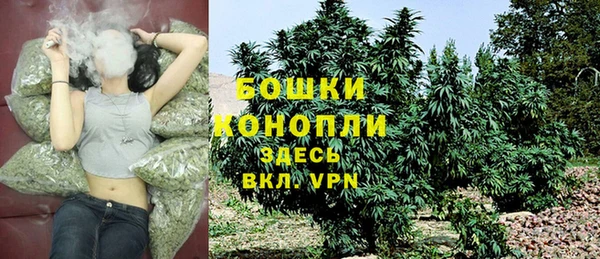 mix Белокуриха
