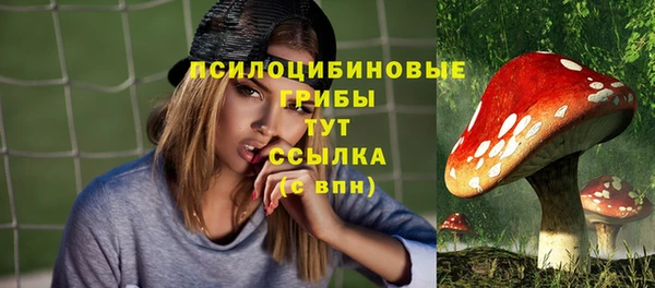 apvp Беломорск